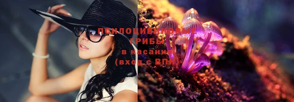 Альфа ПВП Беломорск