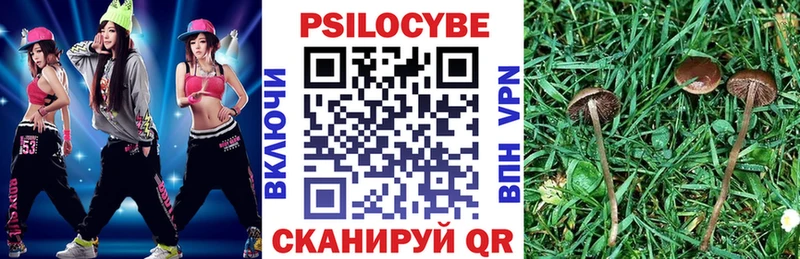 omg ССЫЛКА  Солигалич  Галлюциногенные грибы MAGIC MUSHROOMS 